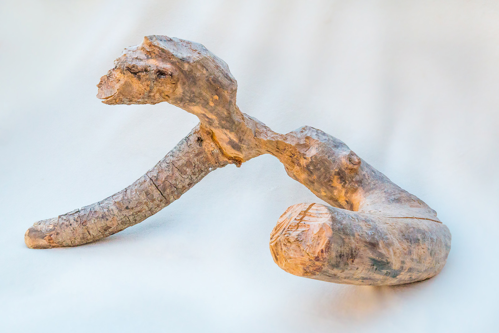 The strange, compelling artistry of “beaver sculptures” Canadian