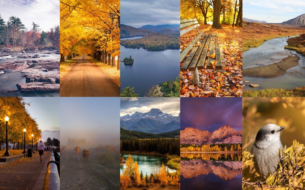 composite of autumn photos canada