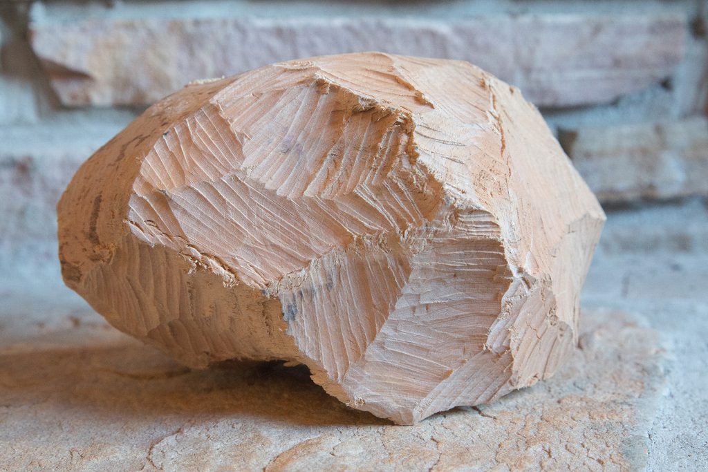A beaver rock