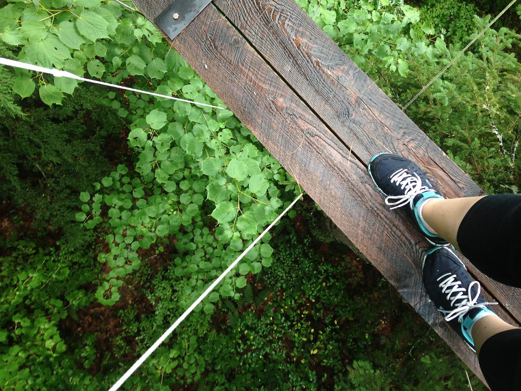 The Canopy Tour at Haliburton Forest