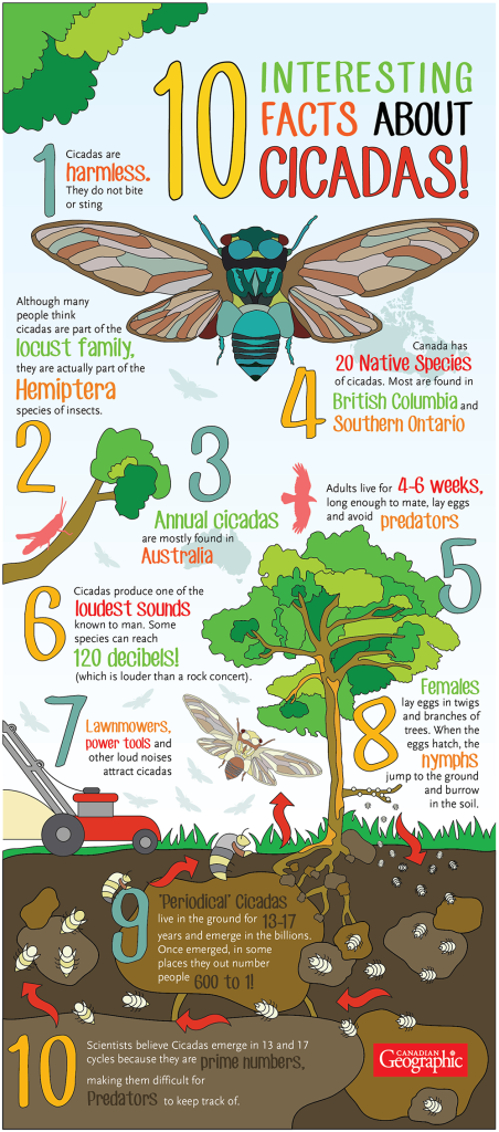 Infographic: Alissa Dicaire