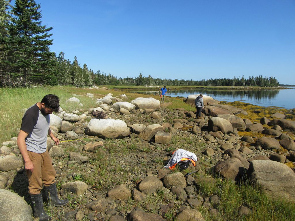 former archaeological site is now inundated at high tide. The rich artifact-bearing soil has been washed away, and with it all the Indigenous pot fragments, stone tools, animal bones, and cultural features. Only a few flakes from making stone tools remained scattered amongst the boulders.