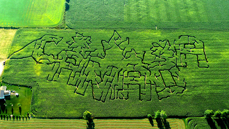 The Waterloo County Corn Maze in Crosshill, Ont., spelled out “Canada” last year.