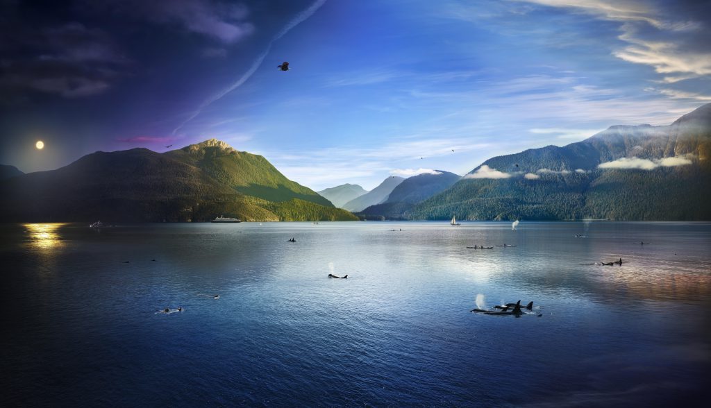 Robson Bight Day to Night