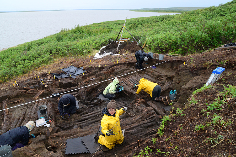 Excavation of the large Kuukpak sod house, nearing completion. In the foreground, Letitia Pokiak excavates the rear alcove. (Photo: Max Friesen)
