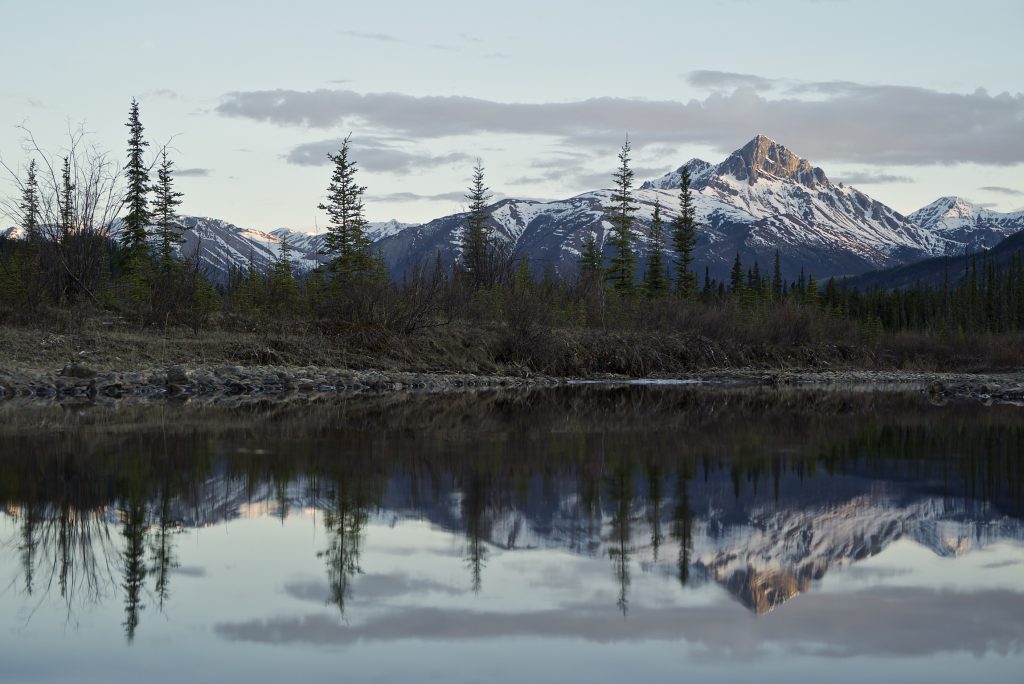 Toad River in the Muskwa-Kechika region of B.C.