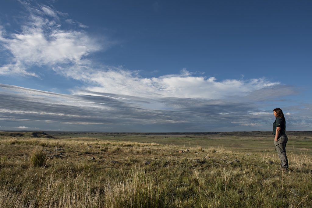A woman stands alone looking out over an empty prairie under a cloudy blue sky