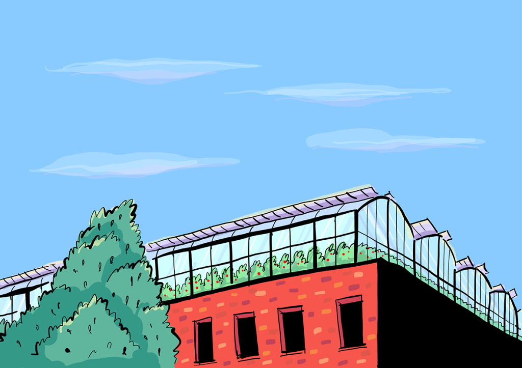 An illustration of a rooftop farm