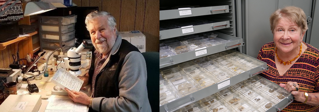 Two entomologist pose with their technical equipment and fossil insects