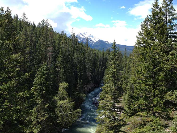 Johnston Canyon hike