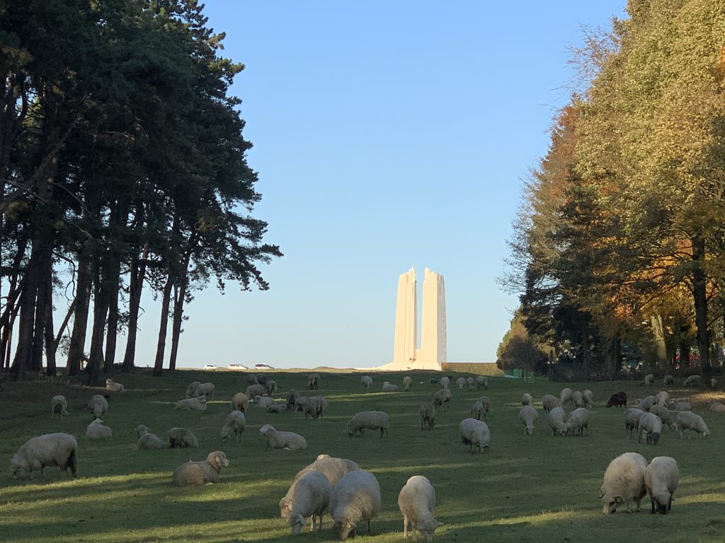 Canadian National Vimy Memorial monument with sheep grazing