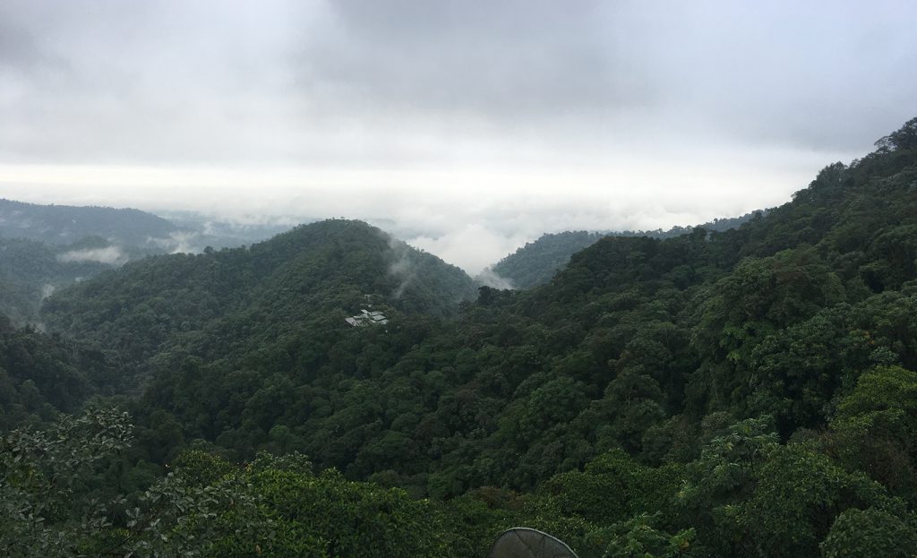 Mashpi Lodge in Ecuador