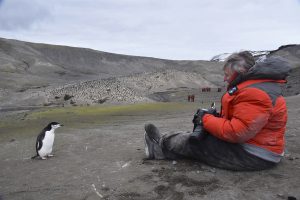 Shelley Ball with a chinstrap penguin in Antarctica