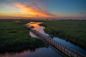 The marsh boardwalk through Point Pelee National Park at sunset