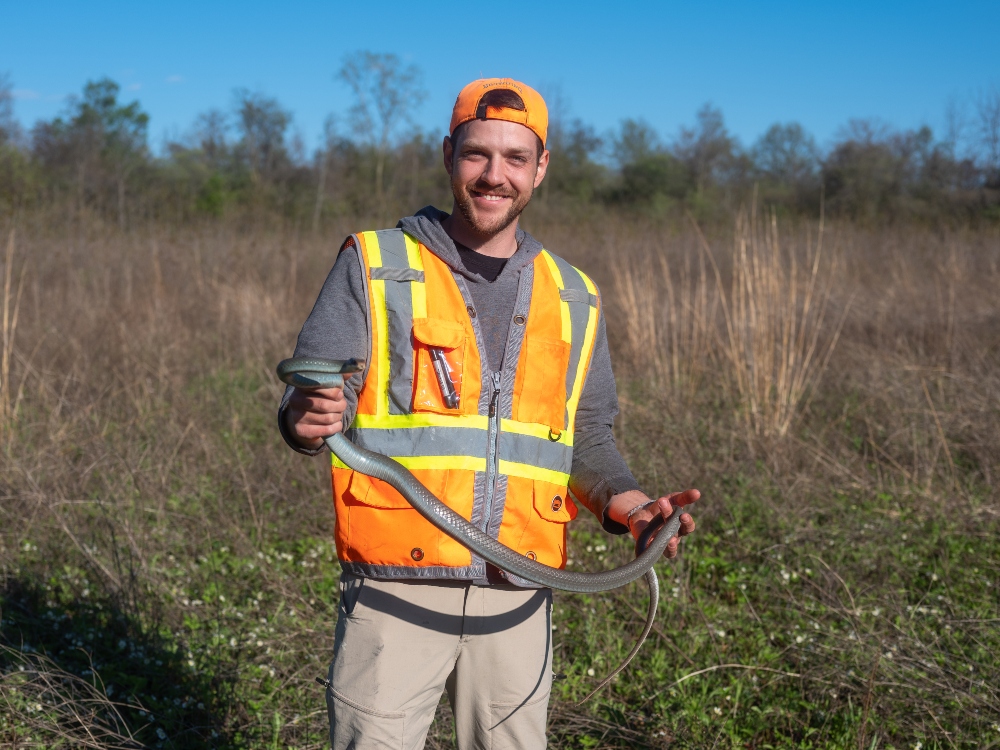 Ryan Wolfe is the lead researcher on a conservation project aimed at saving Ontario's most endangered snake, the blue racer.