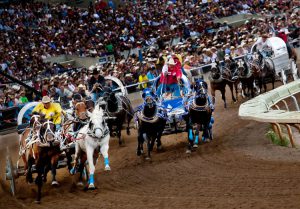 Chuckwagon racing