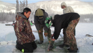 A group from the Selkirk First Nation catches a salmon in a net.