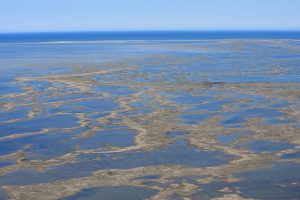 peatlands of the Hudson Bay Lowlands